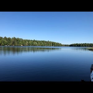 Meet your Posher, Mirko